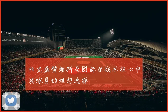 帕克盛赞赖斯是图赫尔战术核心中场球员的理想选择